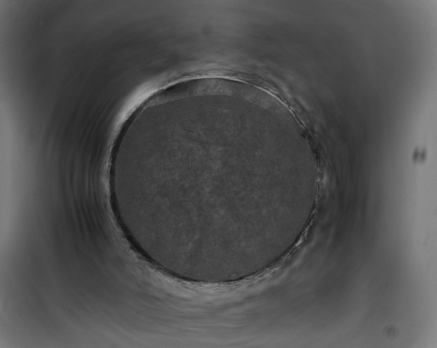 X0000100490006200806201703