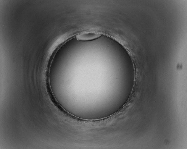 X0000100490007200806201703