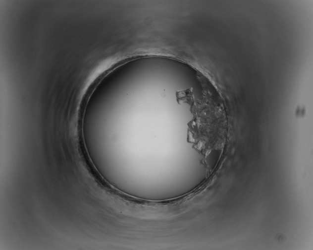 X0000100490008200806201703