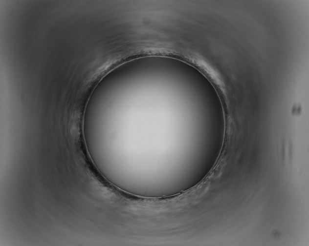 X0000100490009200806201703