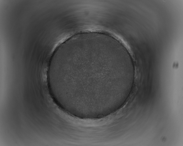 X0000100490010200806201703