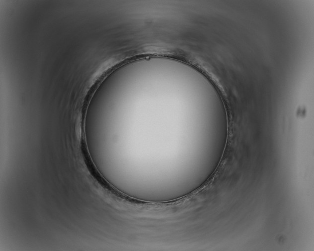 X0000100490011200806201703