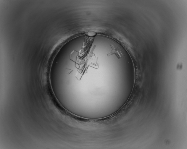 X0000100490012200806201703