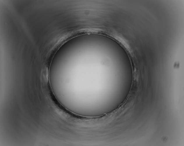 X0000100490013200806201703