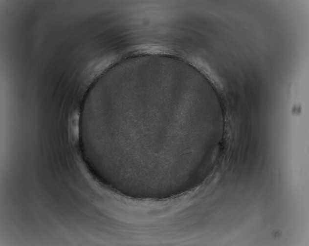 X0000100490014200806201703