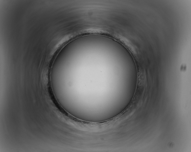 X0000100490015200806201703