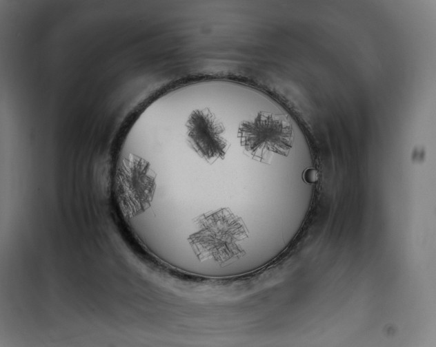 X0000100490016200806201703