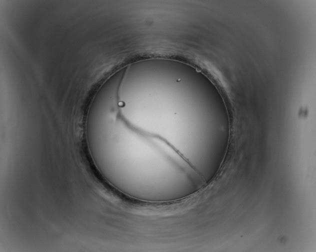 X0000100490017200806201703