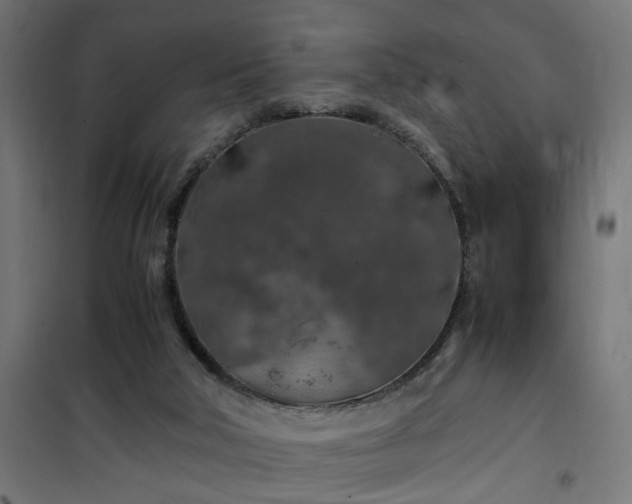 X0000100490018200806201703