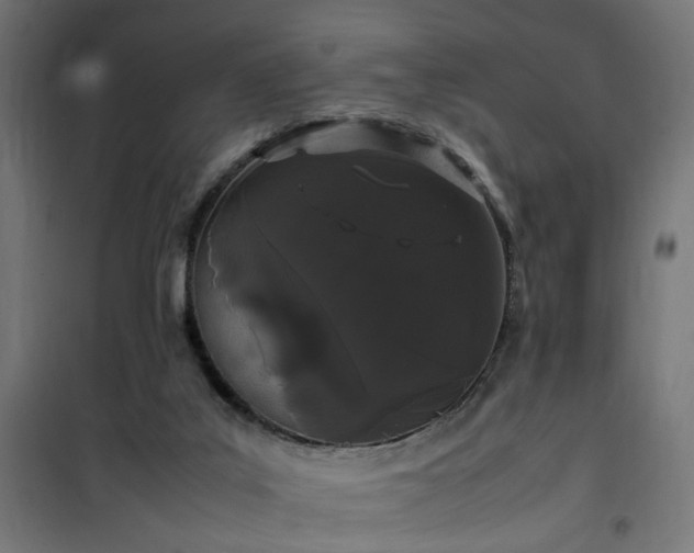 X0000100490019200806201703