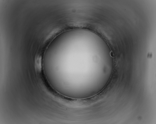 X0000100490020200806201703