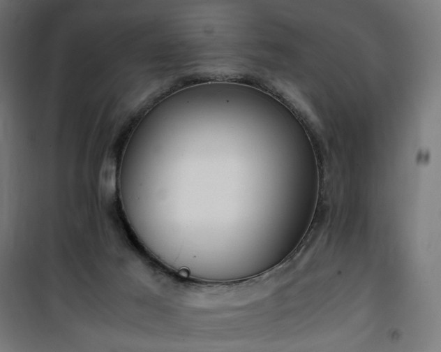 X0000100490021200806201703