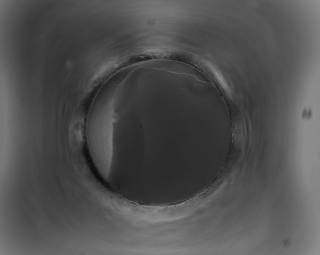 X0000100490023200806201703