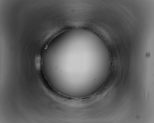 X0000100490024200806201703