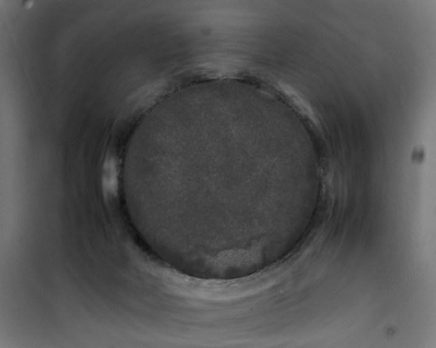 X0000100490026200806201703