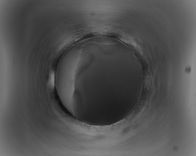 X0000100490027200806201703