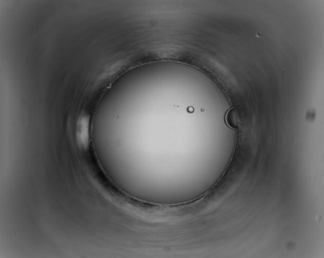 X0000100490028200806201703