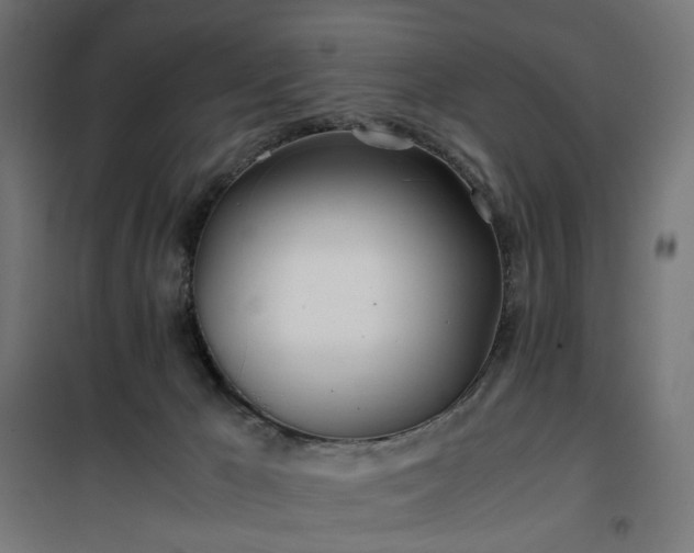 X0000100490029200806201703