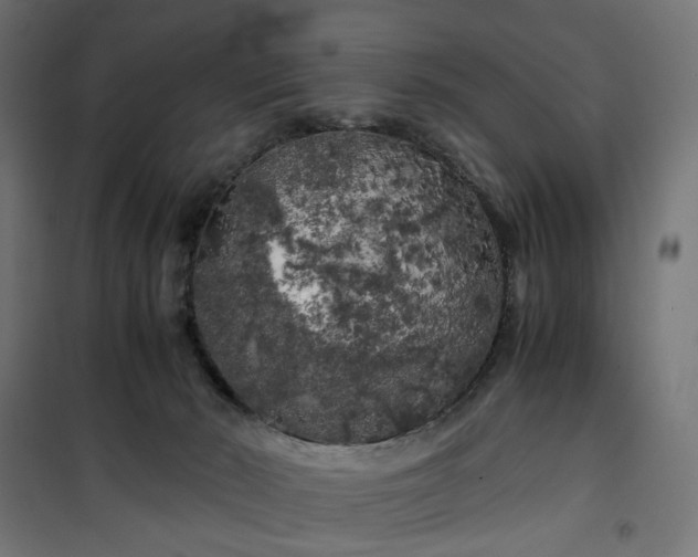 X0000100490030200806201703