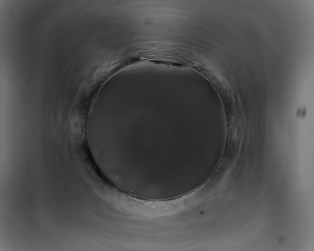 X0000100490031200806201702