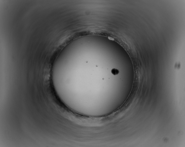 X0000100490032200806201702