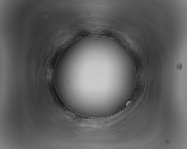 X0000100490033200806201702