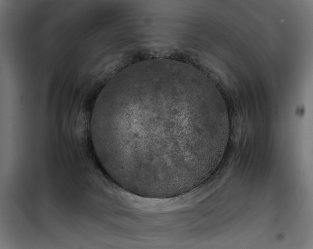 X0000100490034200806201702