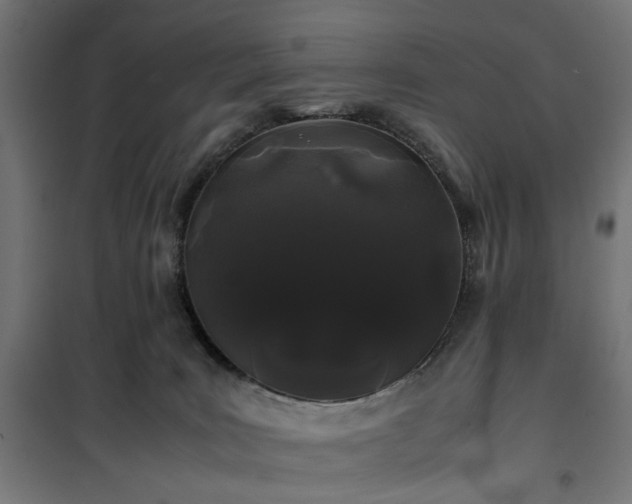 X0000100490035200806201702