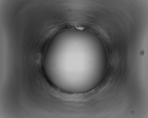 X0000100490036200806201702