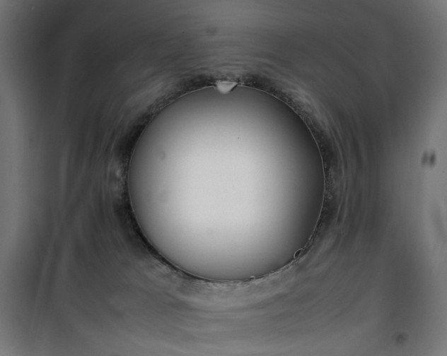 X0000100490037200806201702