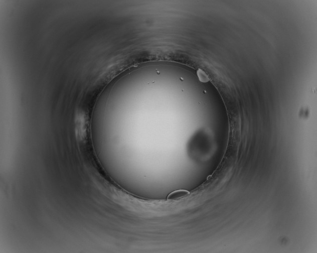 X0000100490038200806201702