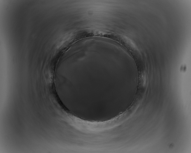 X0000100490039200806201702