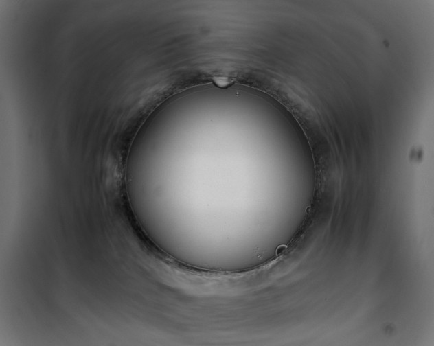 X0000100490040200806201702