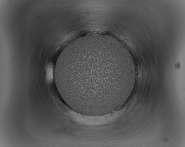 X0000100490042200806201702