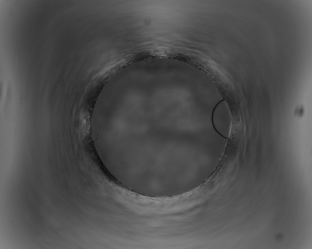 X0000100490043200806201702