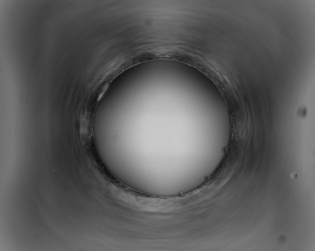 X0000100490044200806201702