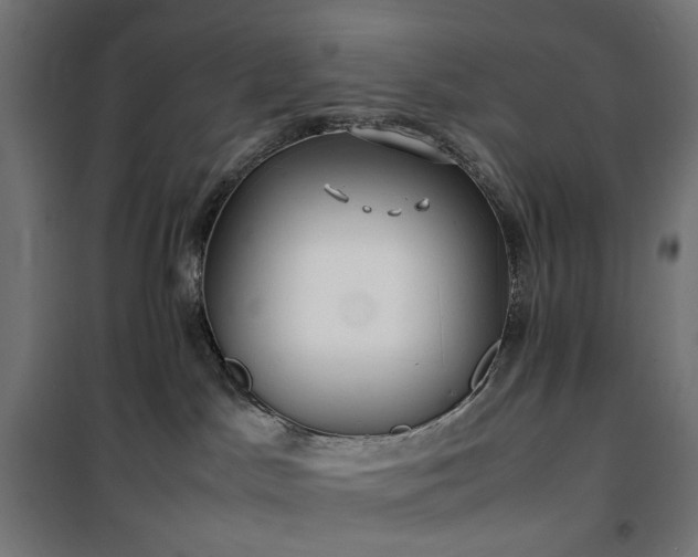 X0000100490045200806201702