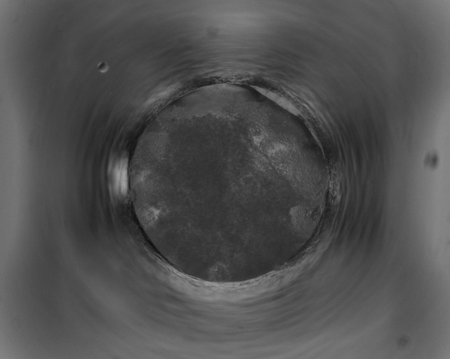 X0000100490046200806201702