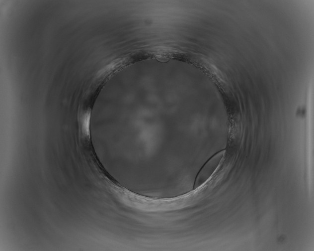 X0000100490047200806201702