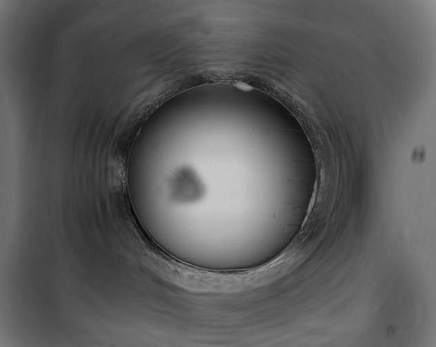 X0000100490048200806201702