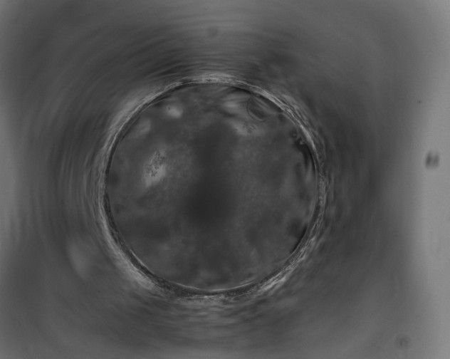 X0000100490049200806201702