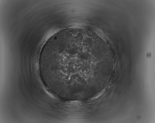 X0000100490050200806201702