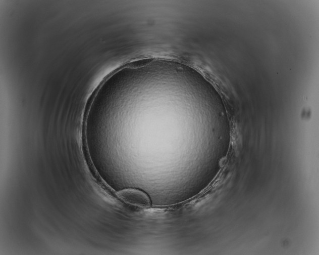 X0000100490052200806201702