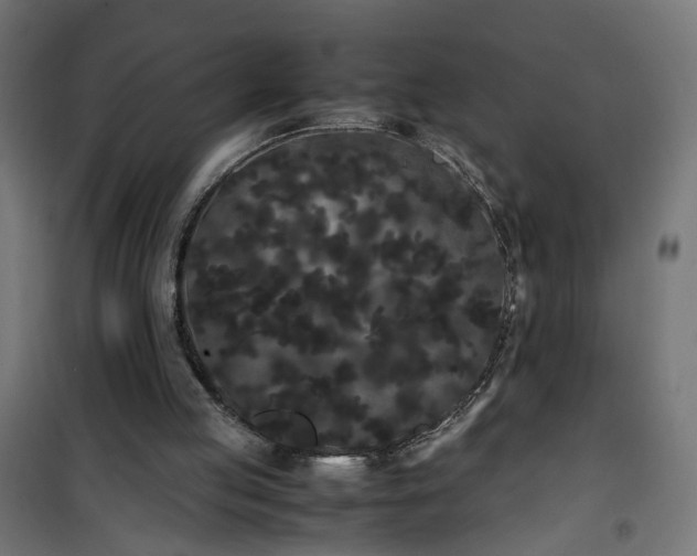 X0000100490053200806201702