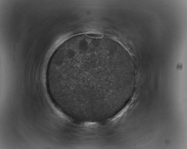 X0000100490055200806201702