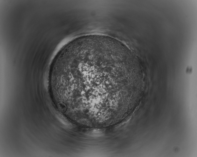 X0000100490056200806201702