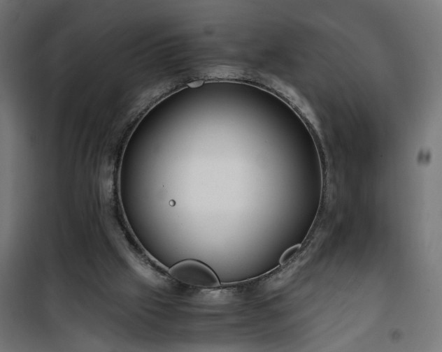 X0000100490057200806201702