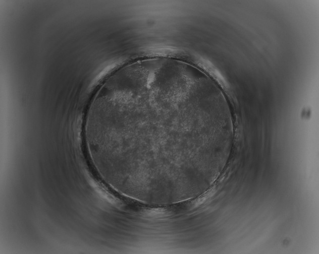 X0000100490058200806201702