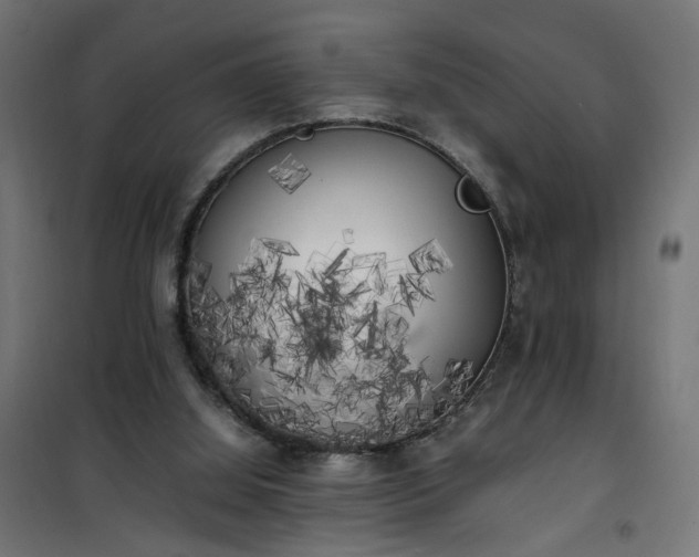 X0000100490060200806201702