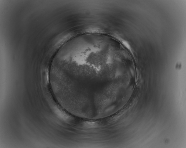 X0000100490061200806201702